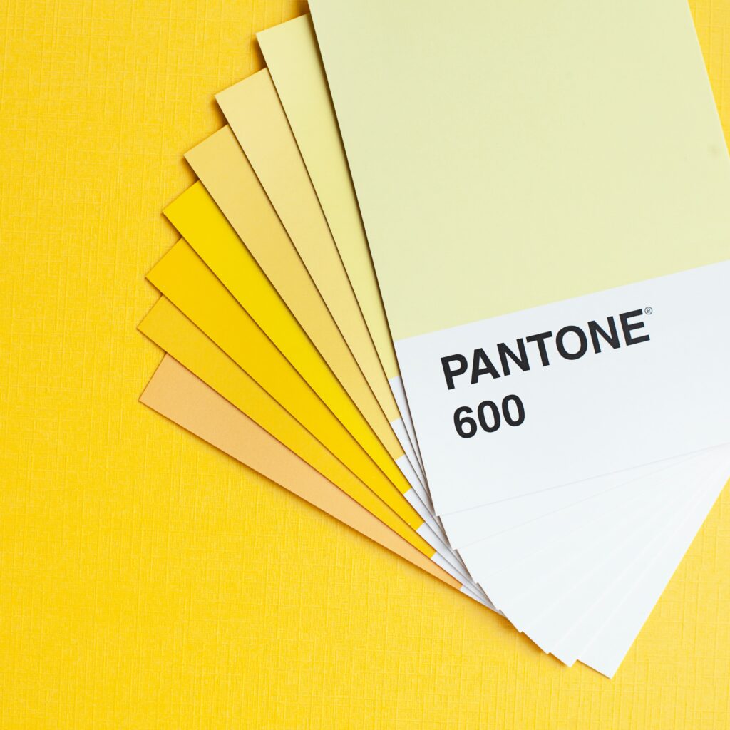 Branding y Diseño